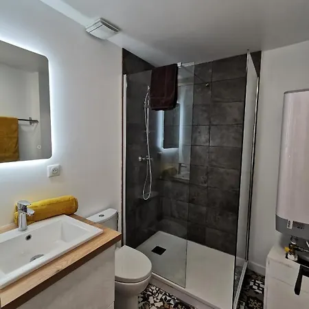 Apartman Du Centre, Refaits A Neuf, Climatiseur Mobile, Hyper Centre, 50m A Pieds Des Commerces, Restaurants, Parking Gratuit Salies-de-Béarn