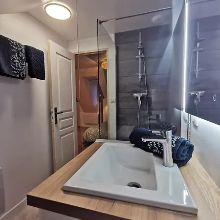 Du Centre, 3 Avec Climatisation, 4 Avec Climatiseur Mobile, Refaits A Neuf, 50m A Pieds Des Commerces, Restaurants, Parking Gratuit * Salies-de-Béarn