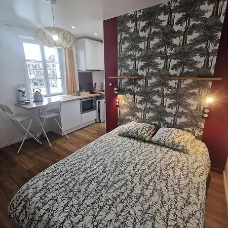 Du Centre, Refaits A Neuf, Climatiseur Mobile, Hyper Centre, 50m A Pieds Des Commerces, Restaurants, Parking Gratuit Apartman *