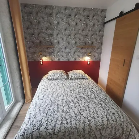 Du Centre, Refaits A Neuf, Climatiseur Mobile, Hyper Centre, 50m A Pieds Des Commerces, Restaurants, Parking Gratuit Apartman Salies-de-Béarn