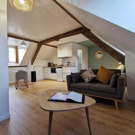 Du Centre, Refaits A Neuf, Climatises, Hyper Centre, 50m A Pieds Des Commerces, Restaurants, Parking Gratuit Salies-de-Béarn