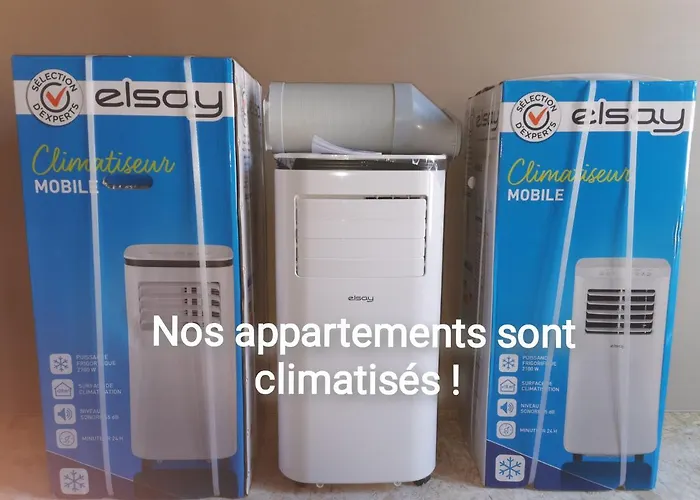 Du Centre, Refaits A Neuf, Climatises, Hyper Centre, 50m A Pieds Des Commerces, Restaurants, Parking Gratuit