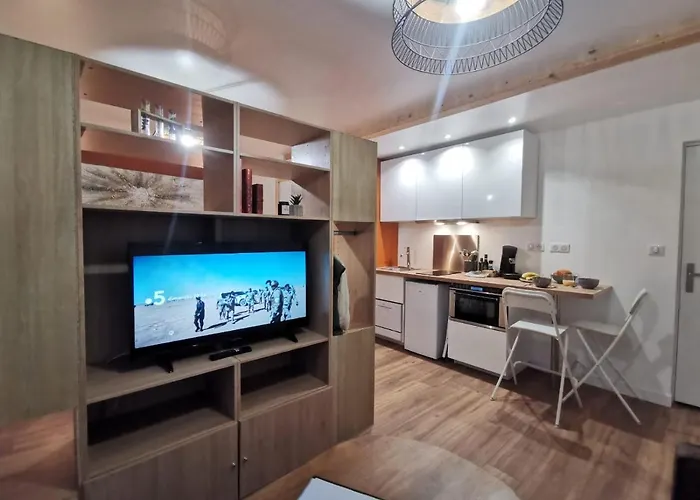 Du Centre, Refaits A Neuf, Climatises, Hyper Centre, 50m A Pieds Des Commerces, Restaurants, Parking Gratuit Daire Salies-de-Béarn