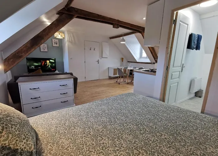 Du Centre, Refaits A Neuf, Climatises, Hyper Centre, 50m A Pieds Des Commerces, Restaurants, Parking Gratuit *