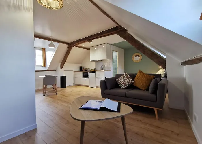 Du Centre, Refaits A Neuf, Climatises, Hyper Centre, 50m A Pieds Des Commerces, Restaurants, Parking Gratuit Salies-de-Béarn