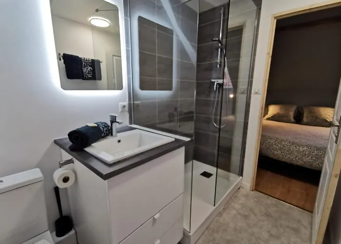 Du Centre, Refaits A Neuf, Climatises, Hyper Centre, 50m A Pieds Des Commerces, Restaurants, Parking Gratuit Daire Salies-de-Béarn