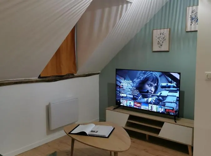 Daire Du Centre, Refaits A Neuf, Climatises, Hyper Centre, 50m A Pieds Des Commerces, Restaurants, Parking Gratuit Salies-de-Béarn